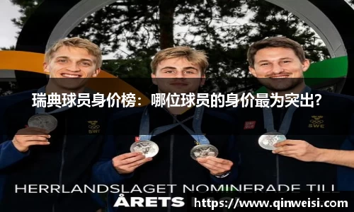瑞典球员身价榜：哪位球员的身价最为突出？